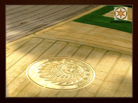 Stargaia.com Mayan Crop Circle