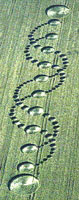 Crop Circle - DNA Bracelet