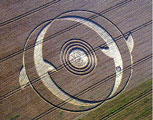 Crop Circle - Dolphins - 2002