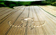 Crop Circle - Scarab - 2005