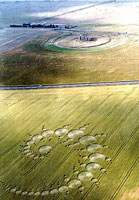 Crop Circle - Single Julia Set