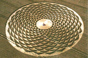 Crop Circle - Sunflower - 2000